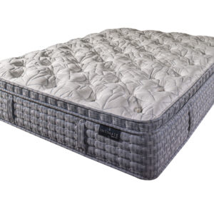 Pacific Euro Top Plush