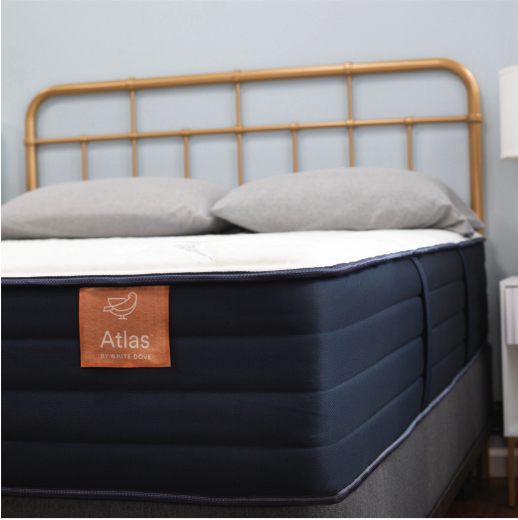 Atlas Firm